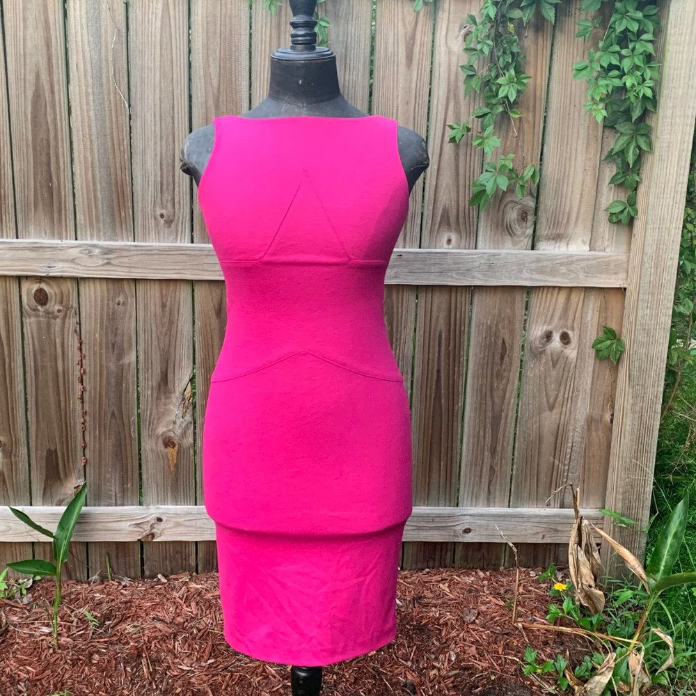 Diane Von Furstenberg, Fushia Sheath Dress, size 0 - Picture 10 of 15